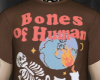 BONES OF HUMAN