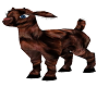 Hyper Baby Goat