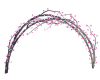 Sweetheart Arch Pink