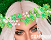 CH*Fairy Crown