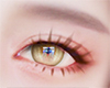 Golden Brown Eyes