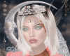 Wedding Veil