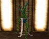 Absathus Potted Plant 2