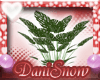 {DSD}Romance Plant