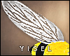 Y. Bee Wings Unisex