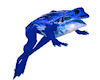 DD Blue Poison Dart Frog