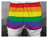 Half Rainbow Pants