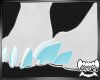 ARCTII | Paws