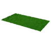 *Green Grass*