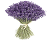 bouquet lavande