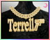 Terrel Chain*custom [xJ]