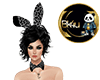 MP! Bunny Set V3