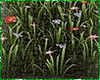 Flower Bed