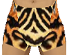 mens swimwear tiger