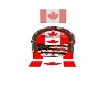 canadian/usa flag radio