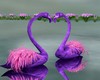 #Flamingo Love