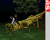 [AS1]MF-Pet Grasshopper