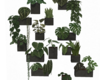 Plants Wall