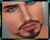 Prince HD 2.0 Dark