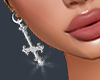 D- Silver Earrings
