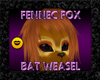 +BW+ Fennec Fox