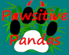 Pawsitive Panda Tee (F)