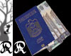 Blue UAE Passport + Cash