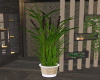 J| Potted Cattails