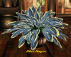 UPSCALE COUNTRY PLANT 4