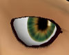 Green Gold Eyes