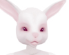 M anyskin bunny ears B