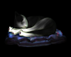 Sleeping Kitty