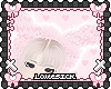 ; bunny hat ꒱ ♱