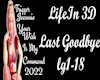 LifeIn3D-Last Goodbye