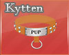 -K- Pup Orange Collar