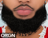OG_Asteri beard
