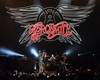 aerosmith plants