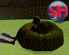 [SH] Poo Float