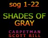 SHADES OF GRAY