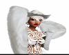 classylady collection