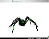 EvilEye Striped Spider