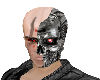 [SaT]Terminator head