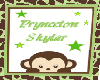 Prynceton Monkey Frame