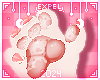 X | ZENNA | Paws