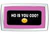 𝓥. "ho is u coo??"