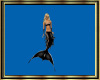 *BDT*Mermaid Shark Black