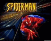 ~WS~ Spiderman Playset