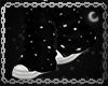 Starry Shoes ♡