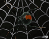 Vitriolic Spider & Web