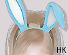 HK🐰BunnyEars4